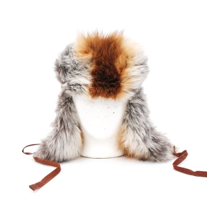 ARCTIC